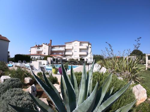 a succulent plant in front of a building at Villa Badi in Umag