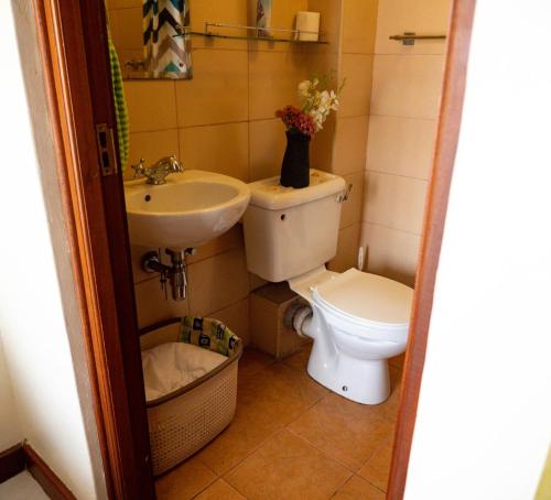 een kleine badkamer met een toilet en een wastafel bij Home and Away Cozy Studio Apartment number 407 in Nairobi