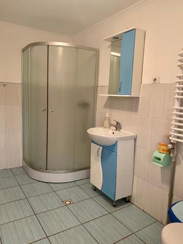 a bathroom with a shower and a sink at Medova Hata in Verkhnyaya Rozhanka