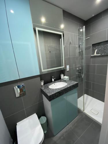 a bathroom with a sink and a toilet and a shower at D&M Apart Lipowa 12 in Białystok