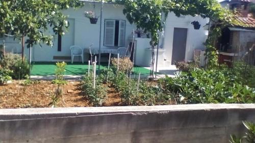 Fotografie z fotogalerie ubytování Apartments Monika v destinaci Vinišće