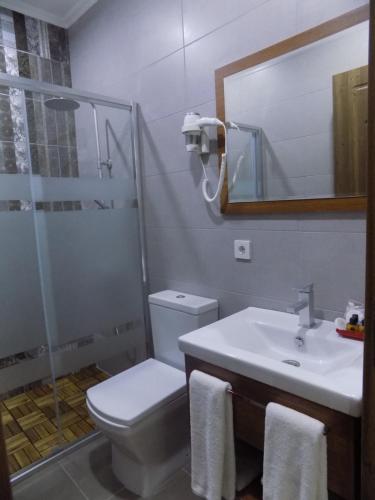 a bathroom with a toilet and a sink and a shower at Palm Hotel in Batumi