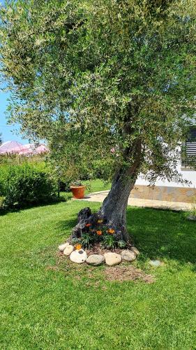 Gallery image of Villa leone 2 in Pisticci