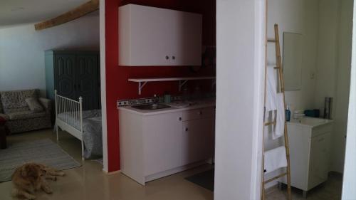a kitchen with a dog laying on the floor at Santo António's Guesthouse in Cascais