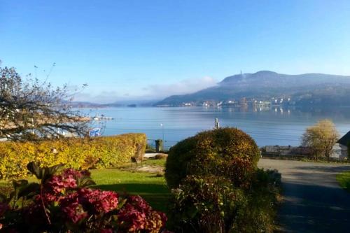 Ferienappartement Bellevue Wörthersee - privater Seezugang, Hunde auch herzlich willkommen