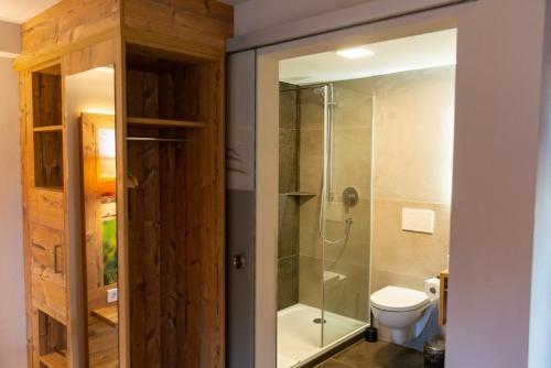 uma casa de banho com um chuveiro e um WC. em Gasthaus Winzerstube & Hotel em Rödelsee