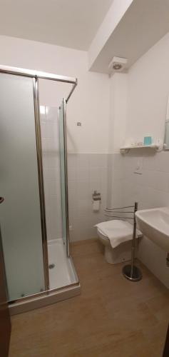 a bathroom with a shower and a toilet and a sink at Villa Flangini in Asolo