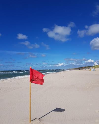 a red flag in the sand on a beach at Cozy modern apartment with lagoon view in Preila