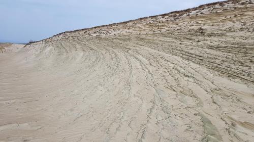 a sand hill with tire tracks in the desert at Cozy modern apartment with lagoon view in Preila