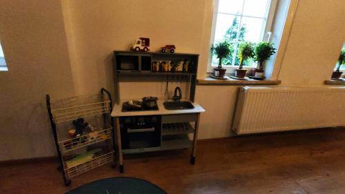 a small kitchen with a stove and a shelf at Historisches Aschberg Haisl Klingenthal, Terrasse, großer Garten 6 plus 2 Personen in Klingenthal