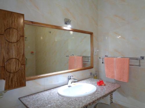 uma casa de banho com um lavatório e um espelho em Chez Michellin Pensions Residence em La Digue