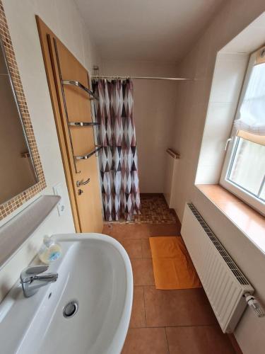 a bathroom with a sink and a shower at Ferienwohnungen Pöttker in Bad Zwischenahn
