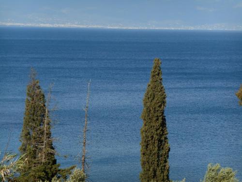 two trees in front of a large body of water at Melios Rooms in Petalidhion