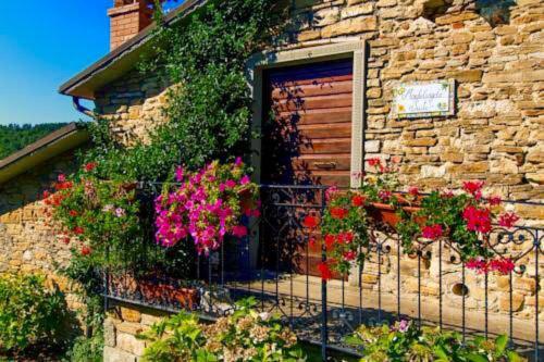 Tuscany Villa Resort – Photos 3