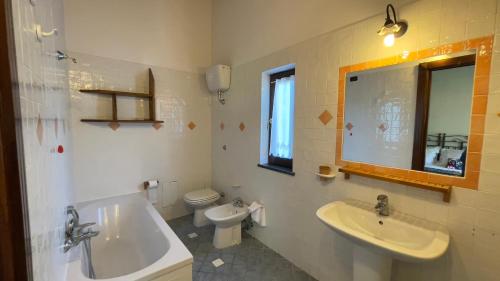 a bathroom with a sink and a toilet and a mirror at Agriturismo La Casa Del Ghiro in Pimonte