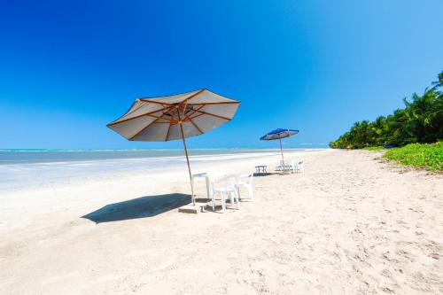 two chairs and umbrellas on a sandy beach at Sollaris Ecopousada in Japaratinga