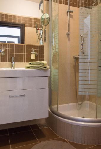 a bathroom with a sink and a shower at Apartment Dino in Selce