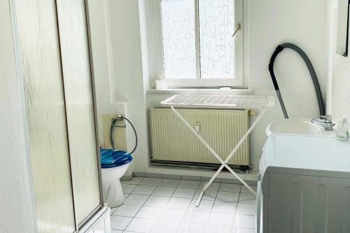 a white bathroom with a toilet and a window at Worker Apartments Bernsdorf-Wiednitz in Bernsdorf