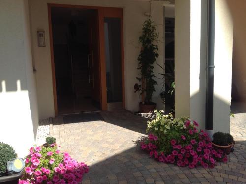 Κήπος έξω από το Apartment Welscher