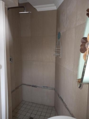 a bathroom with a shower with a toilet in it at Troas Boutique hotel in Vanderbijlpark