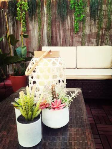 two potted plants on a table next to a couch at M2 Cool apartment next to metro. 15m to center in Esplugues de Llobregat