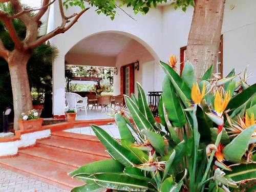 una casa con cortile con piante di La casa di Elisa villa con piscina a San Leone