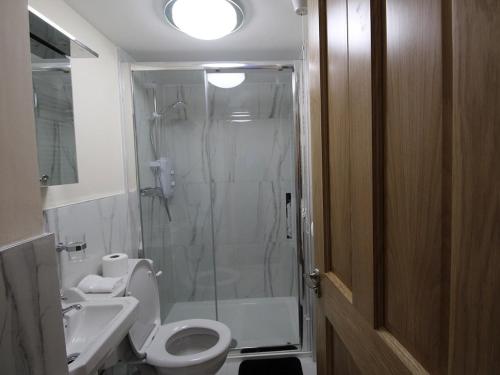 a bathroom with a shower and a toilet and a sink at The Post House in Kinsale