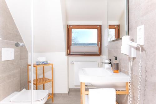 SallneckにあるGenusshotel Hirschen - Erholung im Grünen (Südschwarzwald)の洗面台、トイレ、鏡のあるバスルーム