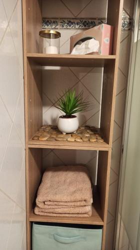 une étagère en bois avec une plante en pot et des serviettes dans l'établissement Le République Annecy , cœur de vieille ville, à Annecy