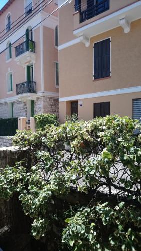 a tree in front of a building at Ceci's home - Few steps from Monaco WITH PARKING in Beausoleil
