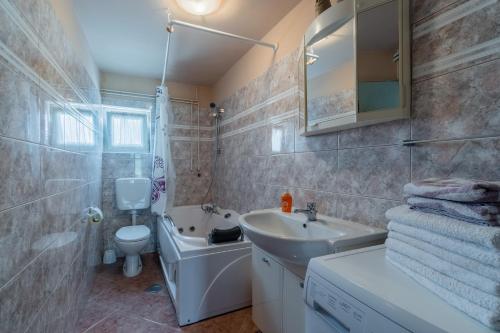 ŠajiniにあるHouse Gracijela, village Bulićiのバスルーム(洗面台、トイレ、シンク付)