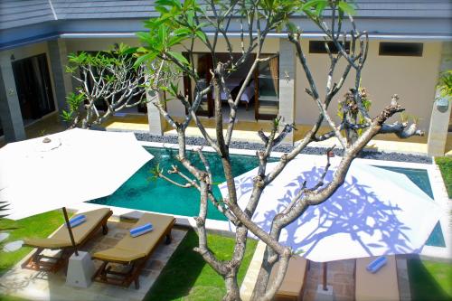 a pool with chairs and umbrellas next to a tree at The Daun Bali in Canggu