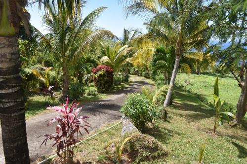 a path through a tropical garden with palm trees at Plantation House in Tanetane