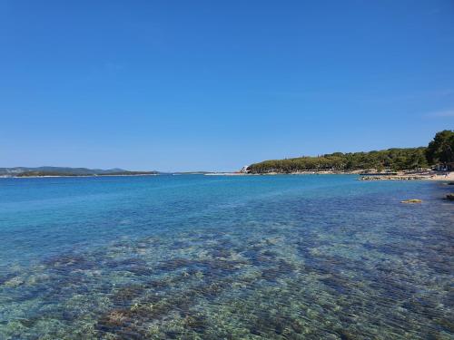 Een strand bij of vlak bij het vakantiepark