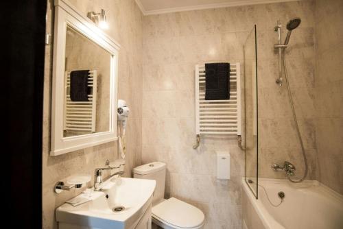 a bathroom with a sink and a toilet and a shower at Chalet Carpat Dream in Synevyr