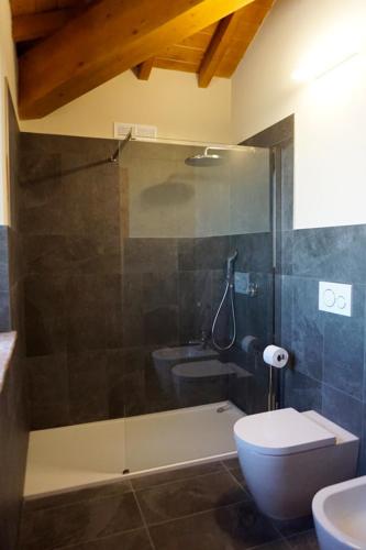 a bathroom with a shower and a toilet and a sink at Agriturismo Cheloni in Guasticce