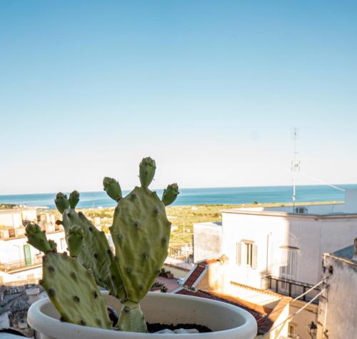a cactus in a pot with a view of the ocean at Casa Junno in Mattinata