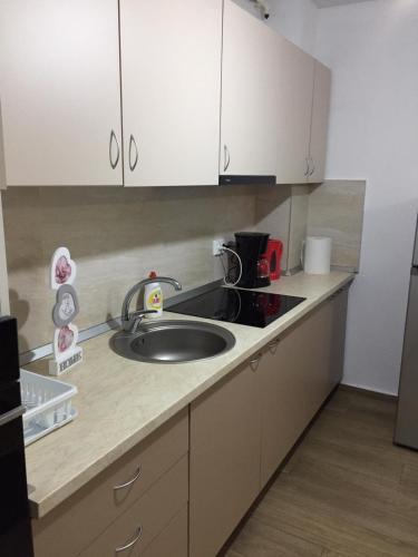 Dapur atau dapur kecil di Apartament Ambrus
