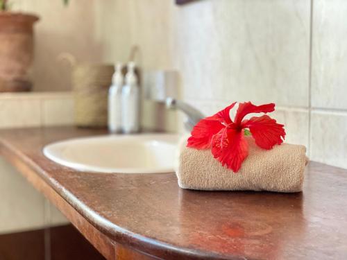 ein Waschbecken mit einer roten Blume auf einem Handtuch in der Unterkunft Salty's Kitesurf Village in Kilifi