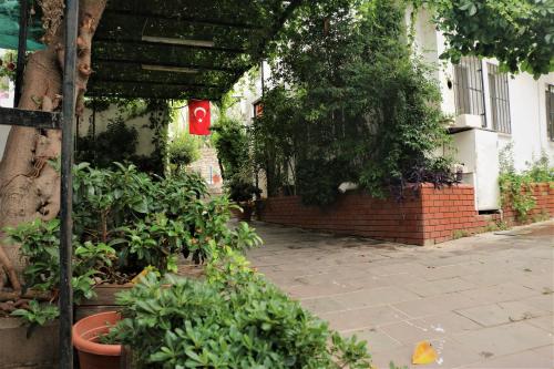 Zahrada ubytování Durak Hotel