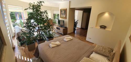 a living room with a table with two pillows on it at Šarlotos apartamentai in Klaipėda