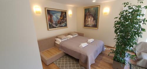 a bedroom with a bed and a potted plant at Šarlotos apartamentai in Klaipėda