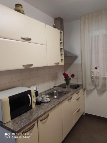 a kitchen with a sink and a microwave at Apartments Drpic in Gabonjin