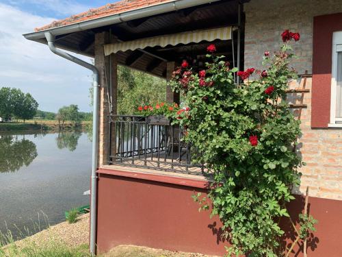 a balcony with roses on the side of a house at Vila Sunce Morovic in Morović