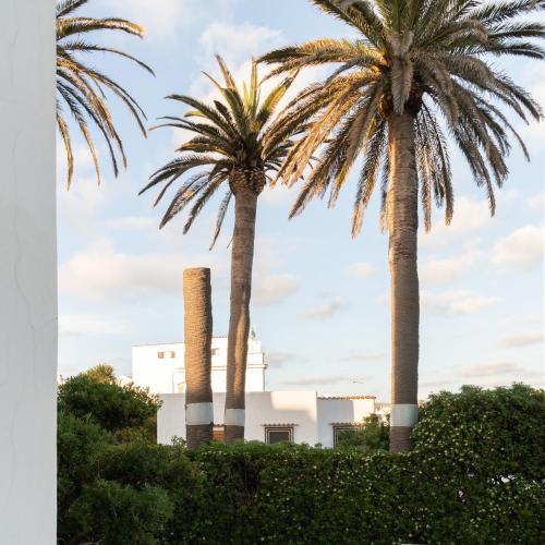 two palm trees in front of a factory at Villa delle Palme in Santa Marinella