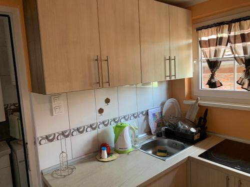 a kitchen counter with a sink and a window at Vila Sunce Morovic in Morović