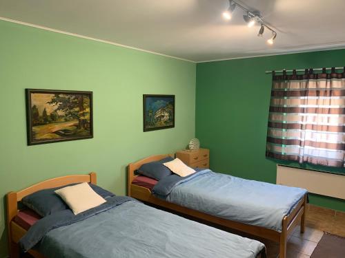 two beds in a room with green walls at Vila Sunce Morovic in Morović