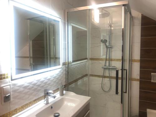 ein Bad mit einem Waschbecken und einer Dusche mit einem Spiegel in der Unterkunft Apartamenty u Maksa in Krzywcza
