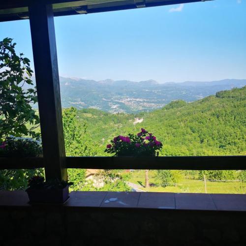 Ulivella Holiday Home – Photos 3