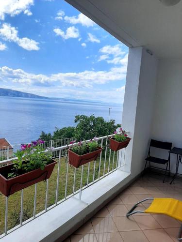 Příroda nedaleko apartmánu